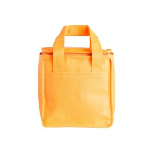 Bolsa térmica 5 litros
