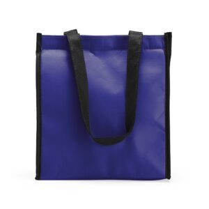 Bolsa térmica 6 litros