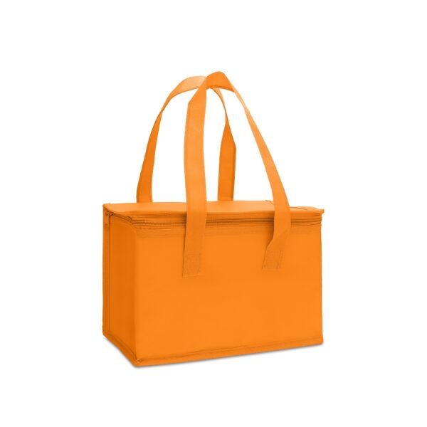 Bolsa térmica 6 litros