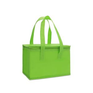 Bolsa térmica 6 litros