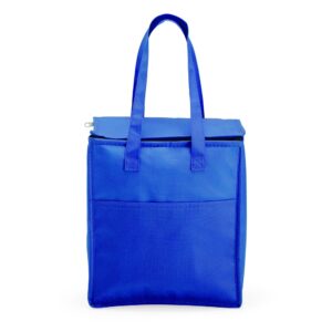 Bolsa térmica 9 litros