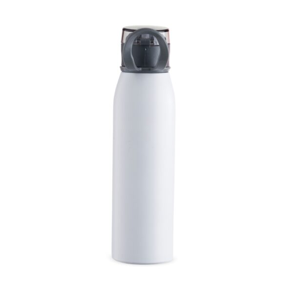 Garrafa inox 650ml