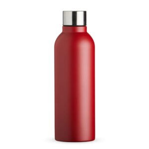 Garrafa inox 800ml