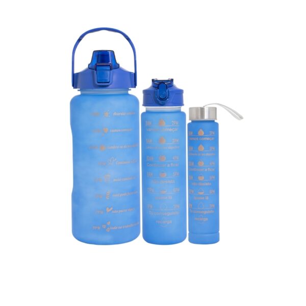 Kit 3 garrafas