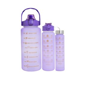 Kit 3 garrafas