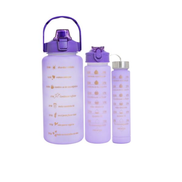 Kit 3 garrafas