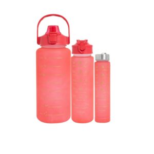 Kit 3 garrafas
