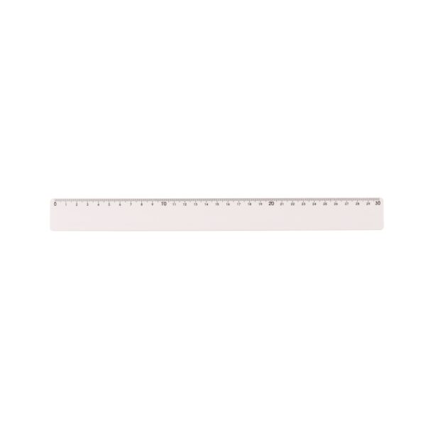 Régua plástica 30cm