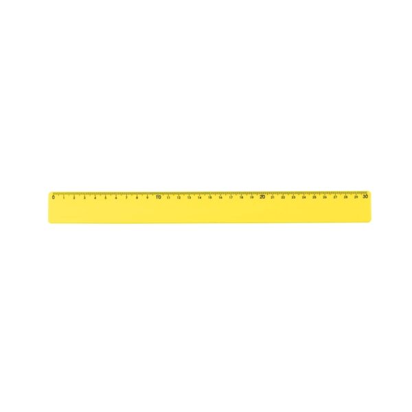 Régua plástica 30cm
