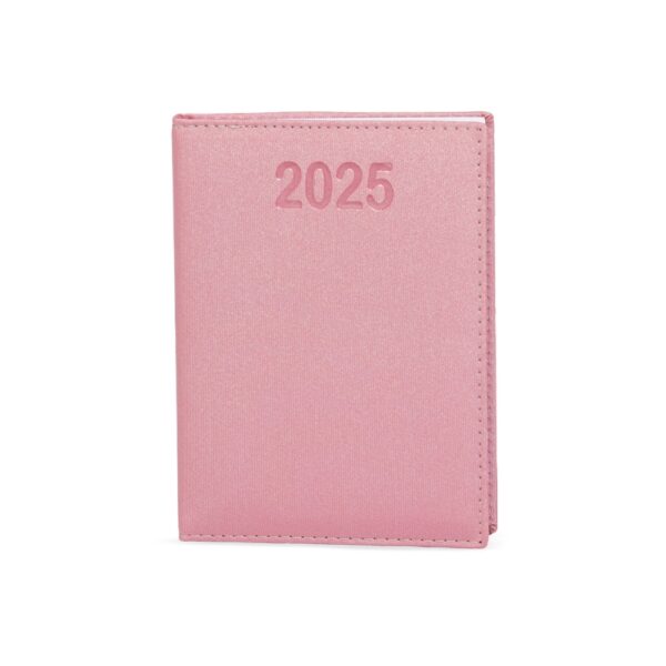 Agenda diária 2025