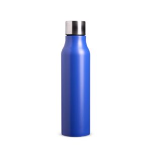 Garrafa inox de 1l