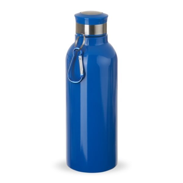 Garrafa inox 700ml